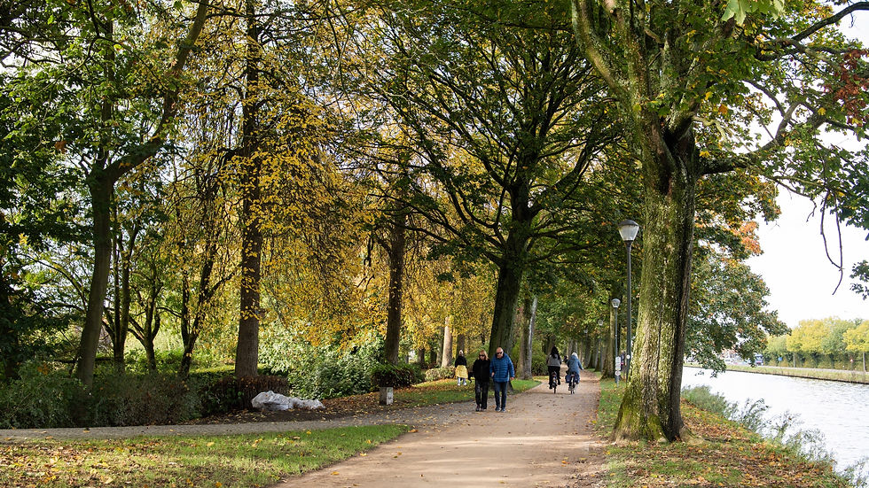 Parque com ciclo-faixas e árvores beirando o canal de Bruges, na bélgica