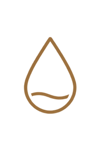 logos.png
