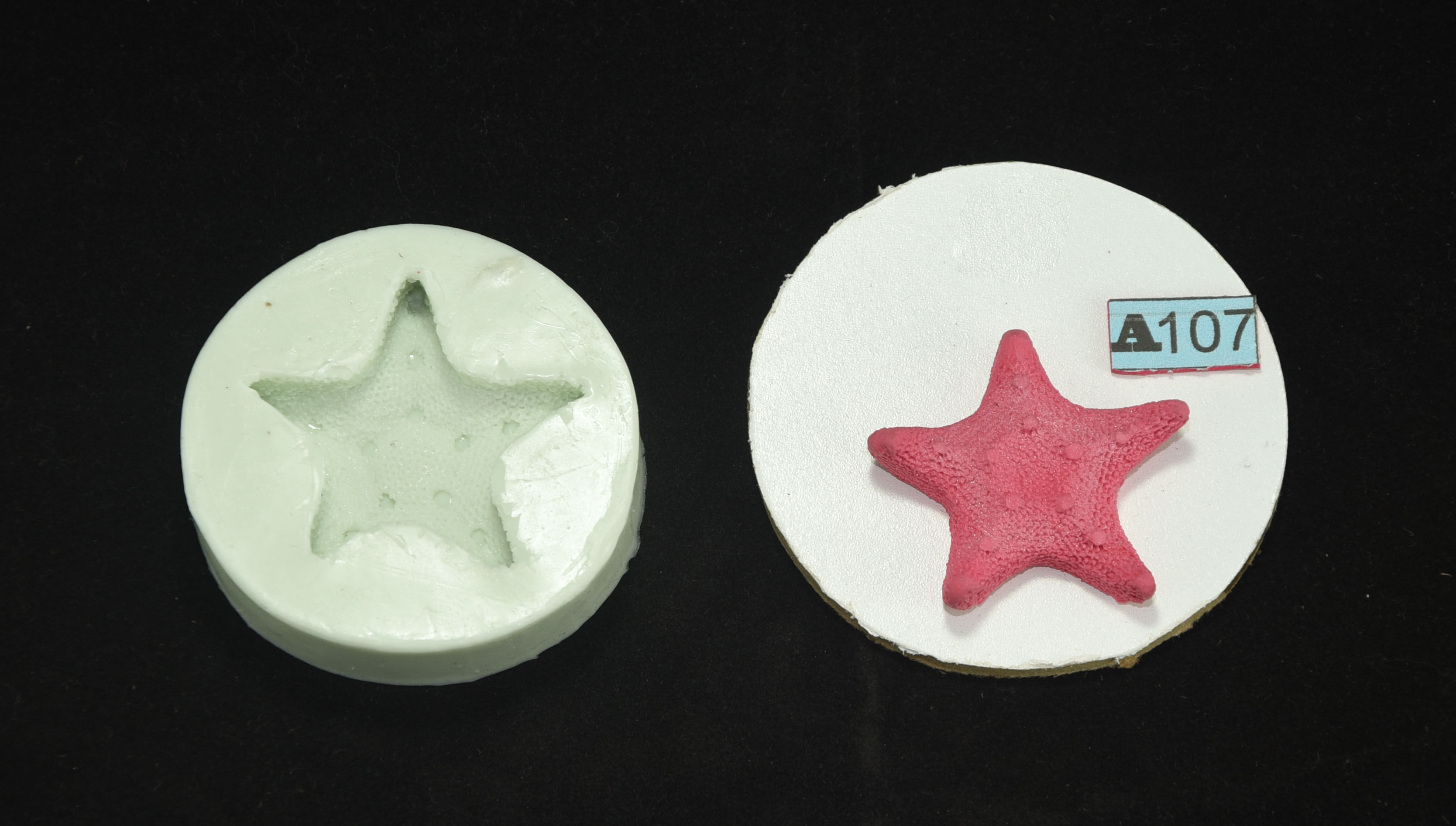 MOLDE SILICONA ESTRELLA DE MAR