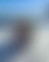 サンスター オーラツー