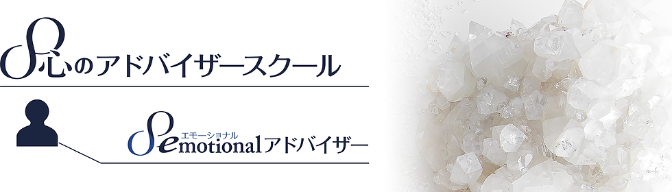 心のアドバイザースクール