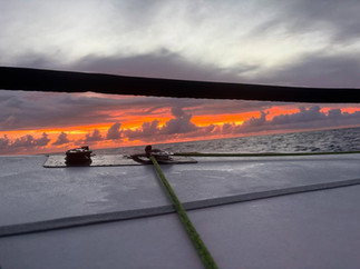 メルボルン大阪