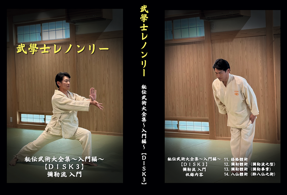 サムネイル： DVDボックス レノンリー秘伝武術大全集 ～入門編～７巻セット