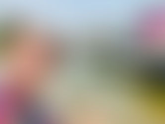 リモートワークに適した職種やスキルの紹介