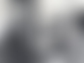 New exhibit at UAlbany honors Toni Morrison’s legacy 