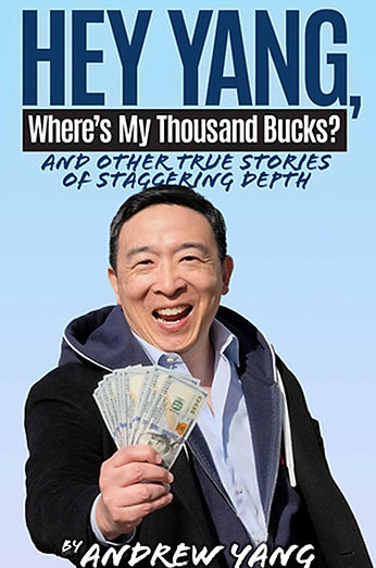 Andrew Yang book cover