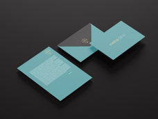 branding system Netra clinic