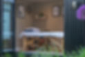 DSC00520.jpeg