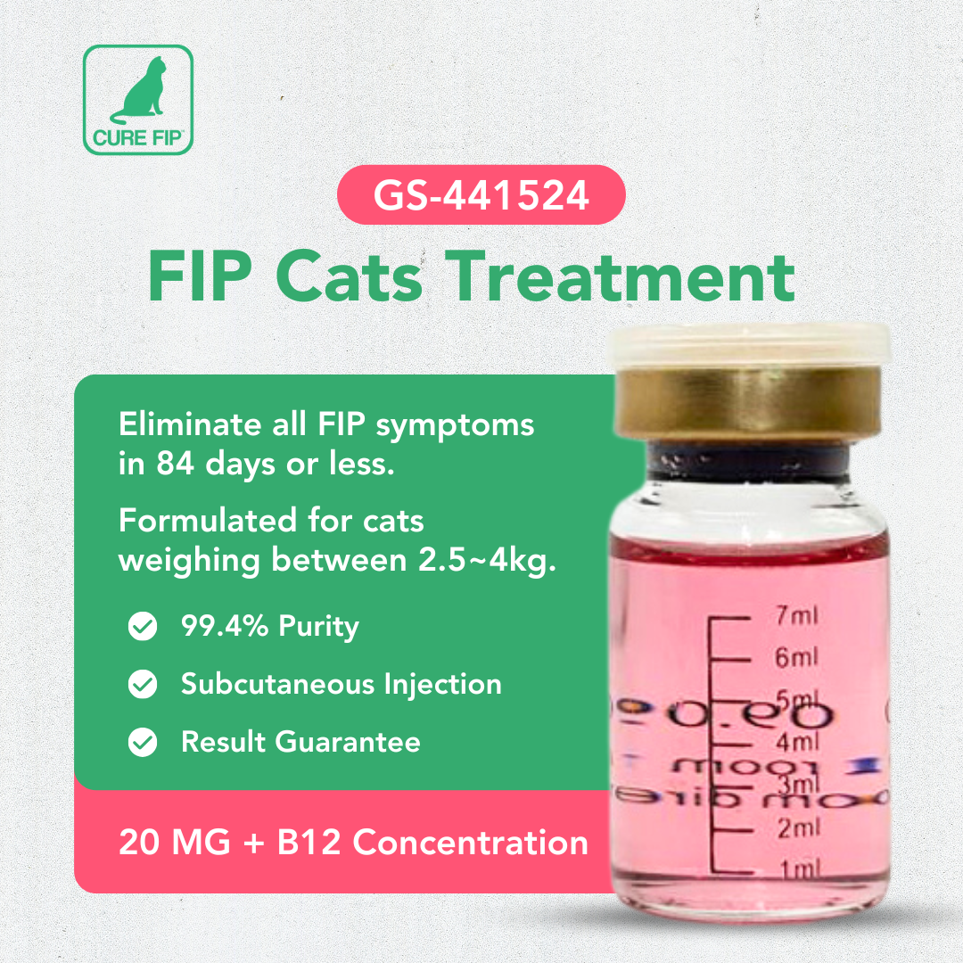 GS-441524 + Vitamin B12 โ 20 mg/mL