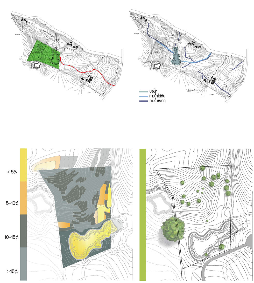 site analysis02-01.jpg