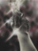 Guerra_Brianna_Light_of_the_World_15.5x18.jpg