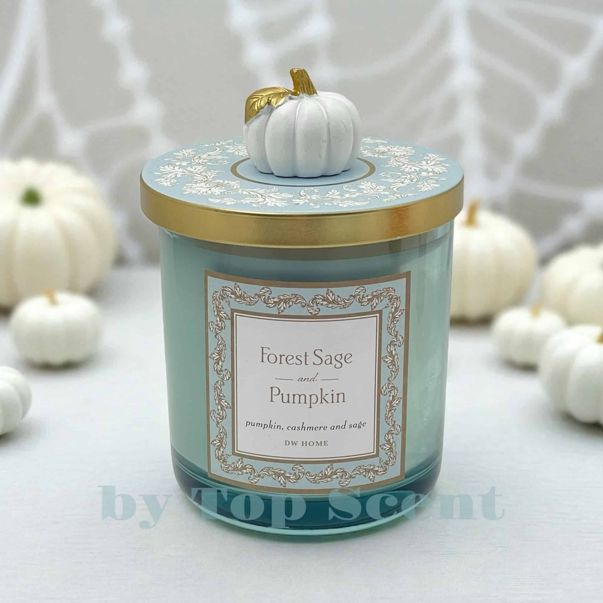 Forest Sage & Pumpkin