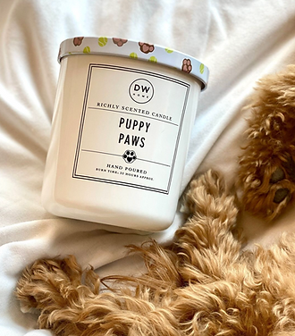 Screenshot 2024-08-07 at 23.07.29.png