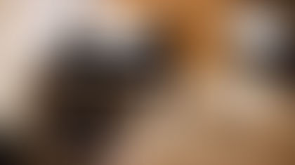 探索琴室租賃的價值:打造互動豐富的音樂體驗