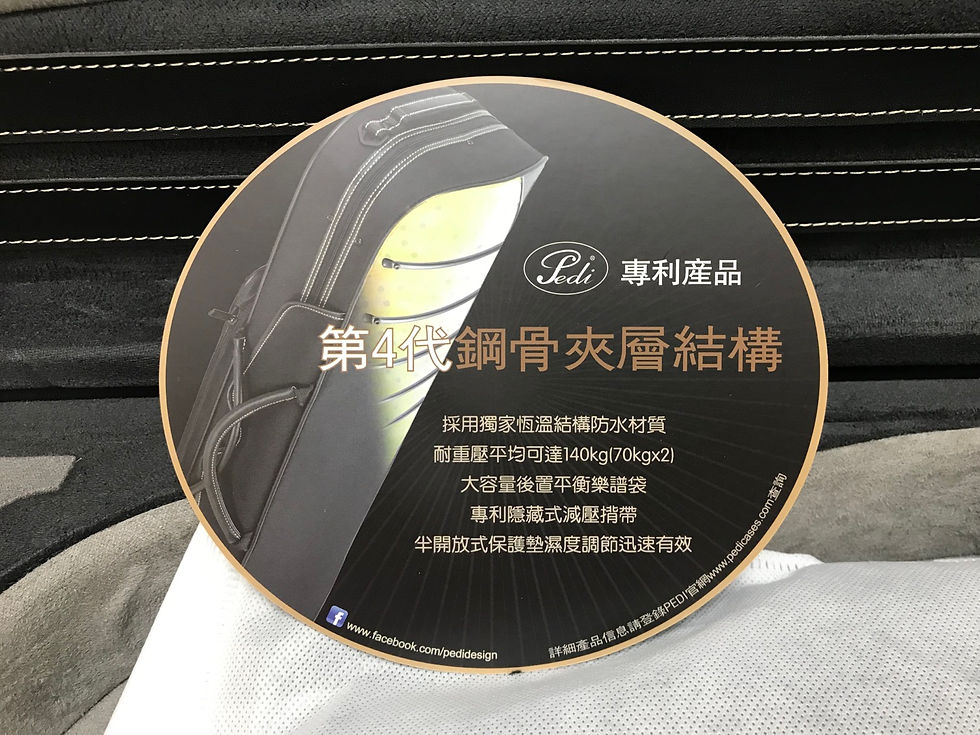 縮圖：台灣 PEDI P320V 輕量化鋼骨夾層小提琴盒