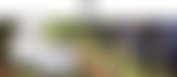 
SEGRETO DEL VINO - טיפול נגד הזדקנות רב עוצמה 