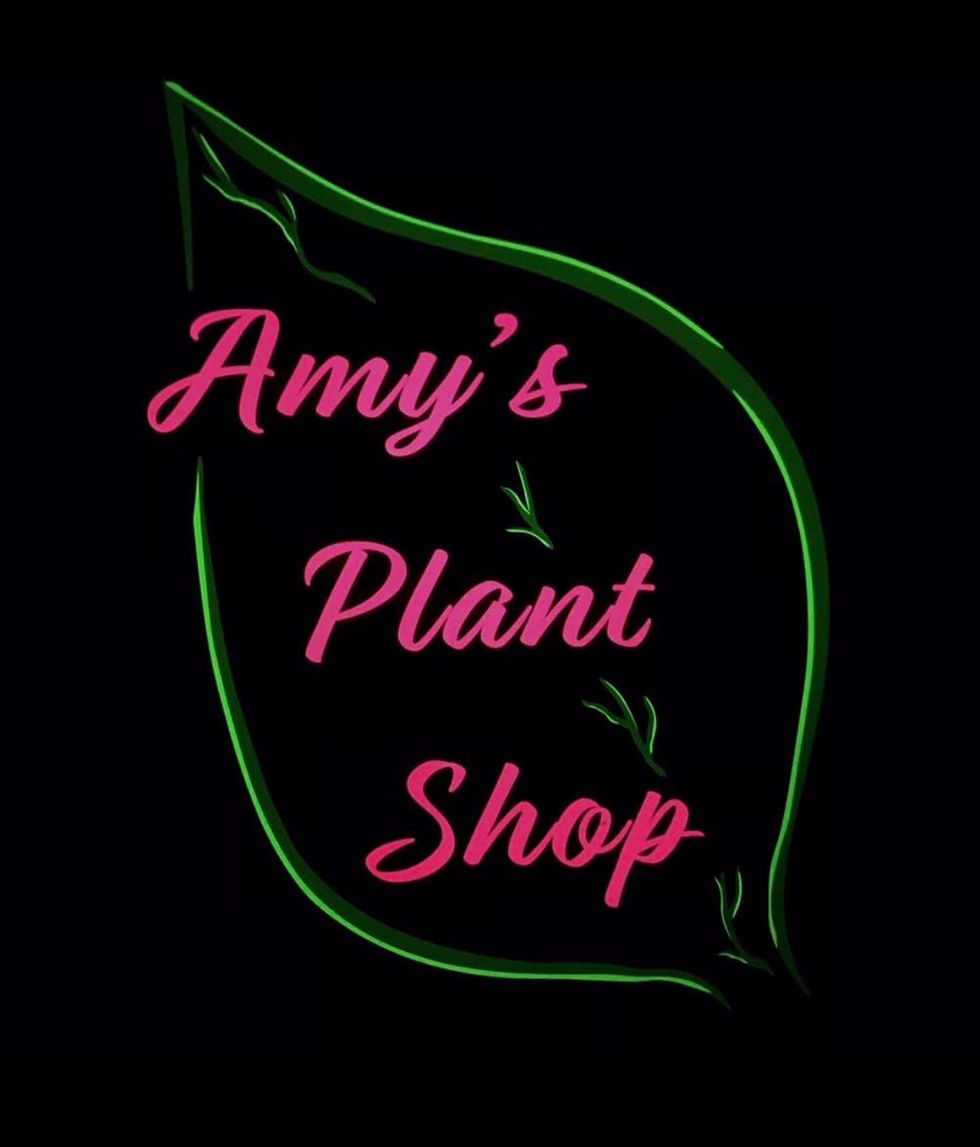 Fairy Garden Workshop with Amy’s Plant Shop