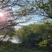 Ferienhof Lucht