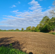 Ferienhof Lucht