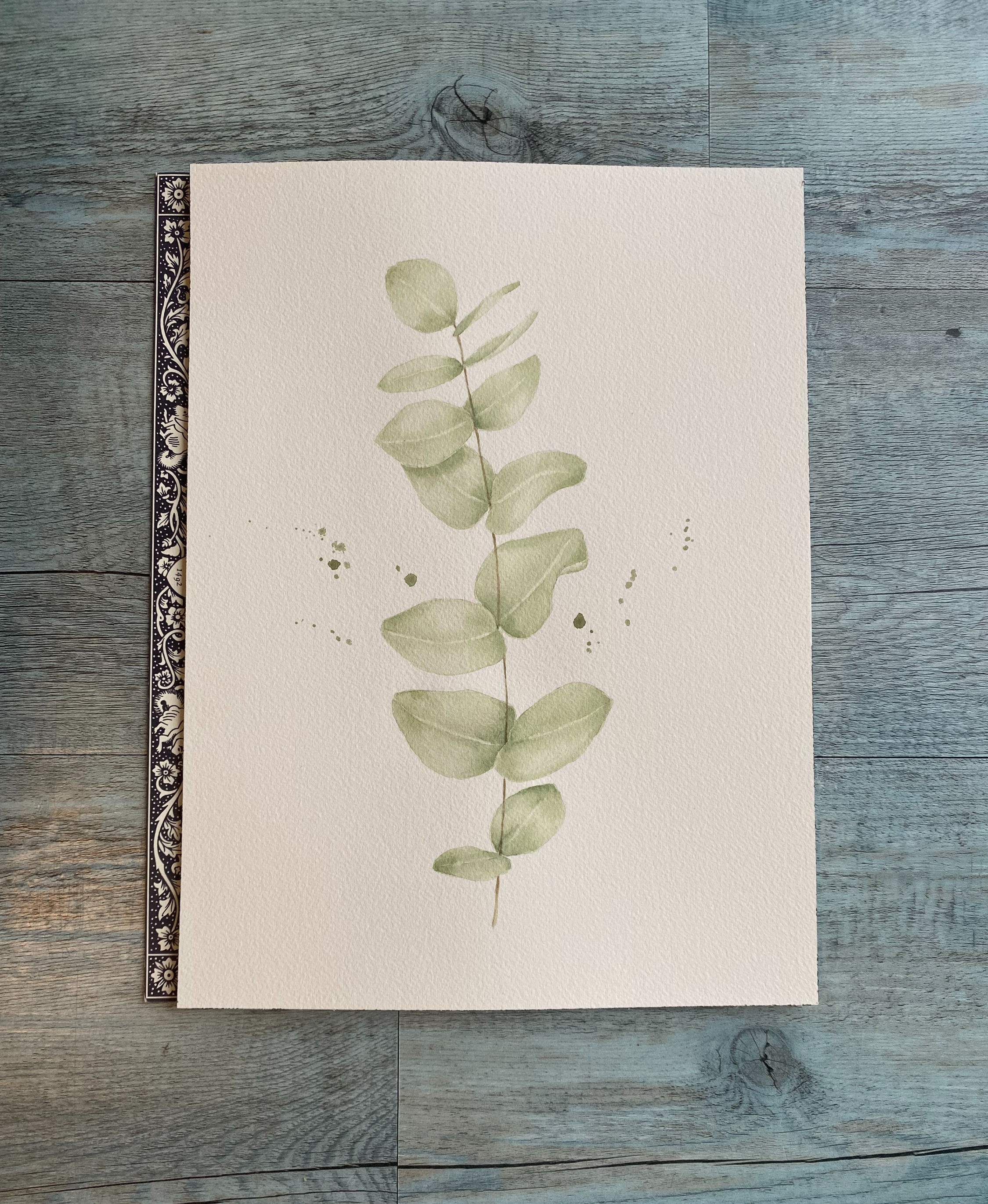 Eucalyptus Branch in Watercolour
