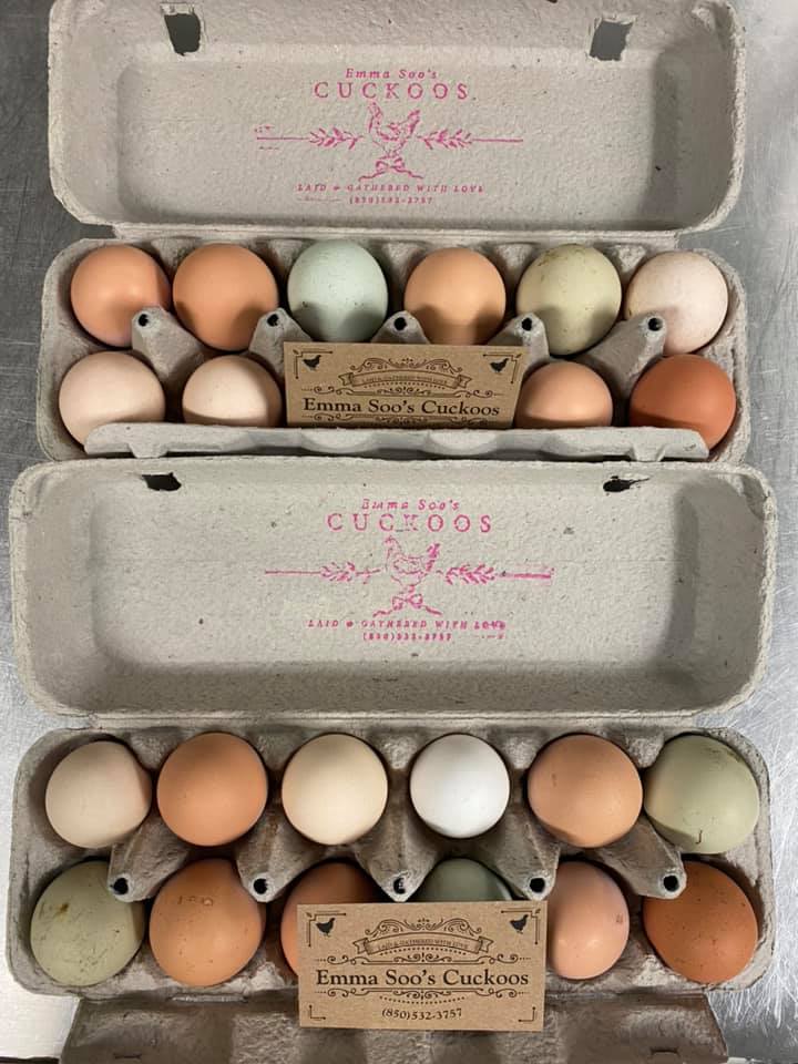timenet milnet cuckoos egg timenet milnet cuckoos egg