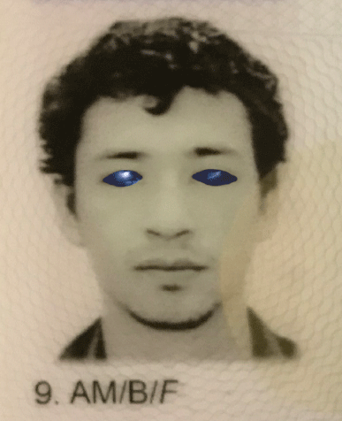 New-Light-Portrait-2.gif
