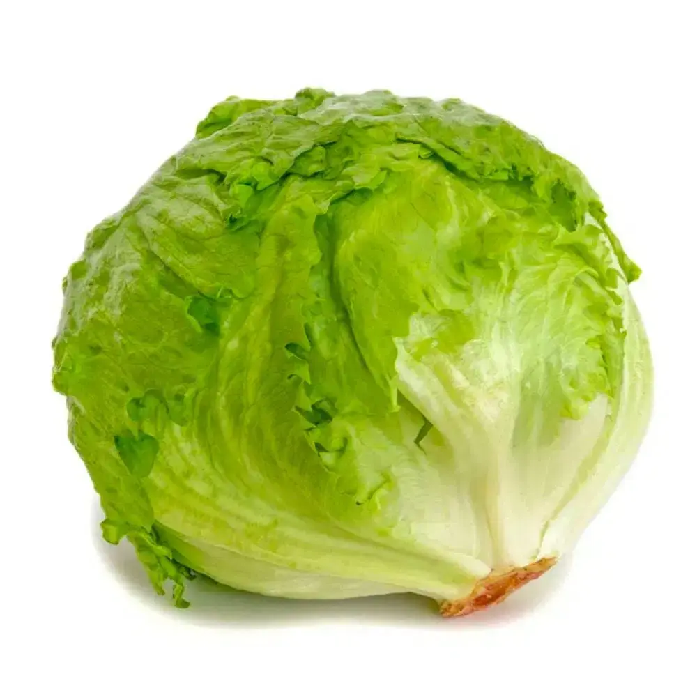 LECHUGA NACIONAL