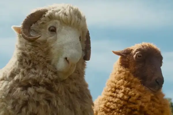 The Sheep Detectives - Movie Backdrop