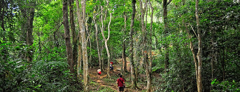 Marinduque Wildlife Sanctuary | Dream Favor