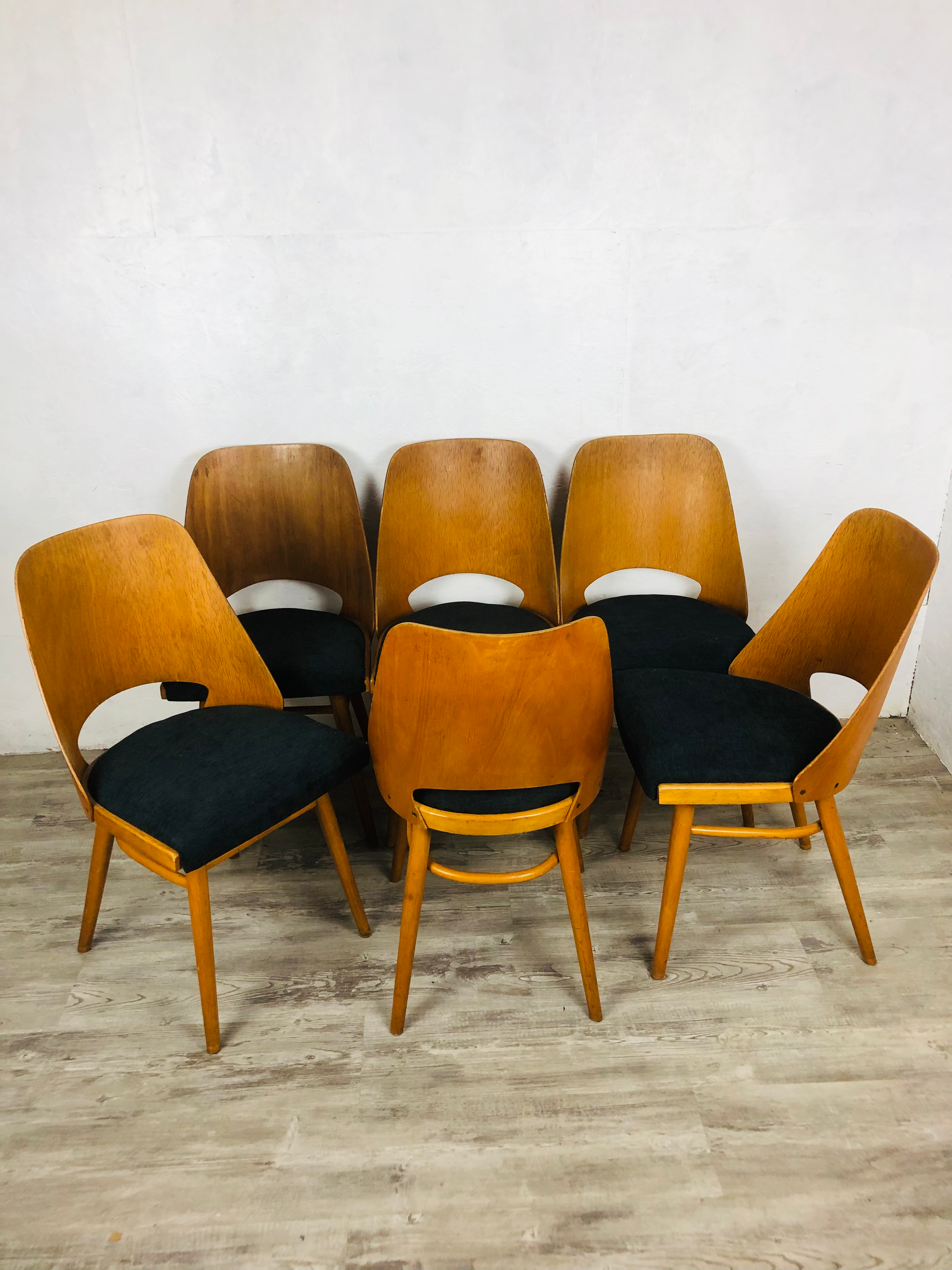 Chaises Radomir Hofman