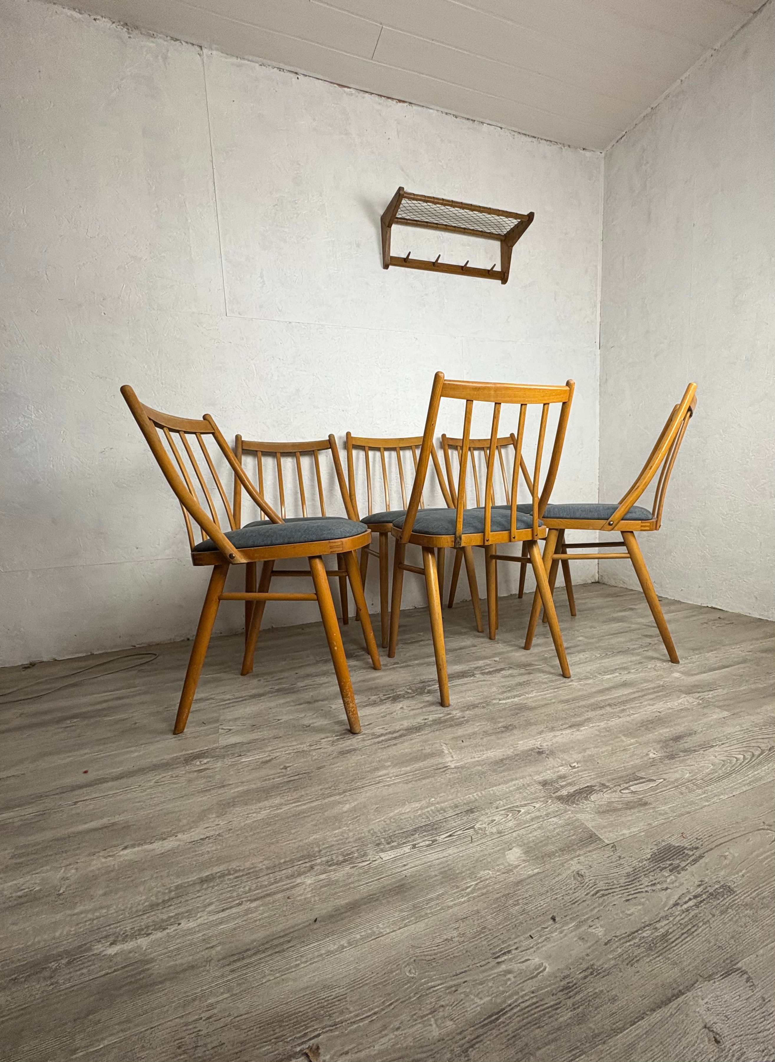 6 Chaises Suman
