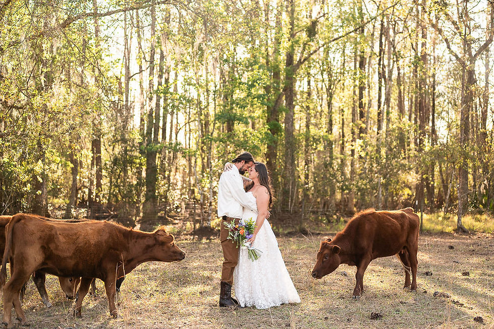 Becky & Matt: Married on their farm