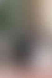 Jerri & Jeff get married at the Thomas Center in Gainesville, Florida by Gainesville Wedding Photographer CWP Photography