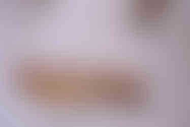 Spring wedding at C Bar Ranch in Alachua, Florida by Gainesville wedding photographer CWP Photography