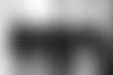 Gothic wedding at Rustic Oaks Ranch in Newberry, Florida by Gainesville wedding photographer CWP Photography