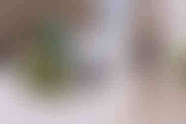 Winter wedding at The Blanche in Lake City Florida by Gainesville wedding photographer CWP Photography