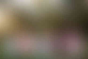 bridesmaids at Granville Plantation in Newberry, Florida by Gainesville wedding photographer CWP Photography