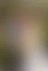 Cold Spring wedding in Earleton, Florida by Gainesville Wedding Photographer CWP Photography