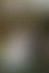 bridal portraits at Granville Plantation in Newberry, Florida by Gainesville wedding photographer CWP Photography