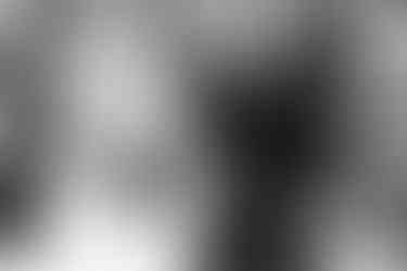 Spring wedding at Black Prong in Bronson, Florida by Gainesville Wedding Photographer CWP Photography