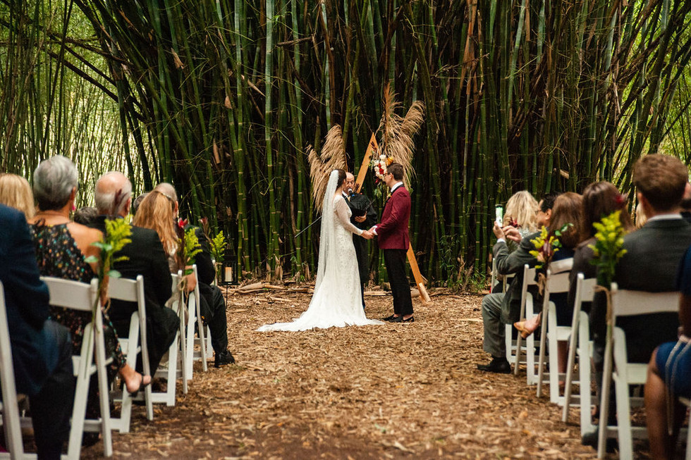 Bright, winter wedding at Kanapaha Botanical Gardens in Gainesville, Florida by Gainesville wedding photographer CWP Photography