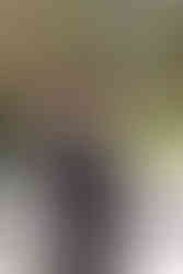 Spring wedding at Black Prong in Bronson, Florida by Gainesville Wedding Photographer CWP Photography