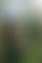 Winter wedding at The Blanche in Lake City Florida by Gainesville wedding photographer CWP Photography