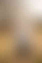 Expectant couple at La Chua Trail on Paynes Prairie with gainesville maternity photographer CWP Photography