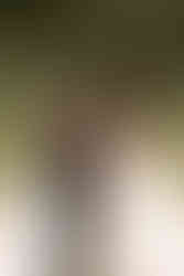 Backyard wedding in Newberry, Florida by Gainesville wedding photographer CWP Photography