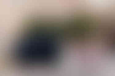 Bride and groom at Homosassa wedding by Gainesville Wedding Photographer CWP Photography