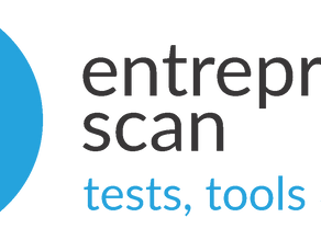 Entrepreneur Scan Reflection