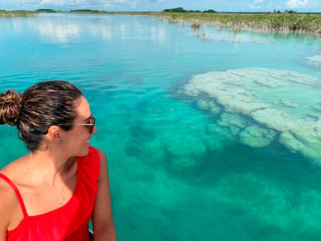 ¿Sabes qué son los estromatolitos?