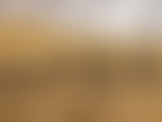 La última del año.