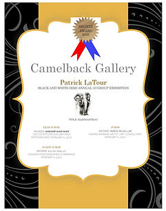 Patrick LaTour - Award Cert.Bronze.jpg